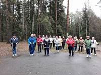 Мастер – классы (открытые тренировки) по северной ходьбе  в парках города Иваново, посвященные  Дню народного единства.