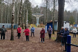 Мастер – классы (открытые тренировки) по северной ходьбе  в парках города Иваново, посвященные  Дню народного единства.