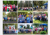 Обзор занятий северной ходьбой с 8 по 14 июня 2025 года в Ивановской области.