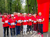 Команда «Искандер», состоящая из 26 шуйских ветеранов, занимающихся северной ходьбой, под руководством капитана  Александра Кувшинова преодолела дистанцию в один километр в забеге «Вперед вместе с ЭГГЕР!»