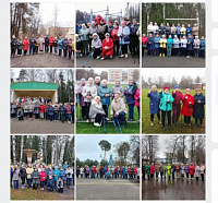 Обзор занятий по северной ходьбе в Ивановской области с 2 по 8 ноября 2025 года