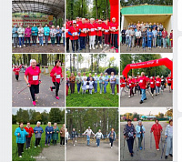 Северная ходьба: ваш путь к здоровью и активности. Анализ занятий по северной ходьбе в Ивановской области в период с 31 августа по 6 сентября 2025 года