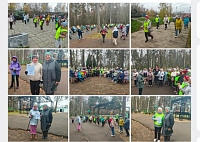 Межмуниципальное спортивное мероприятие «Вместе весело шагать»: успех и перспективы развития в рамках национального проекта «Семья» и федерального проекта «Старшее поколение»