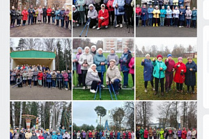 Обзор занятий по северной ходьбе в Ивановской области с 2 по 8 ноября 2025 года Обзор занятий по северной ходьбе в Ивановской области с 2 по 8 ноября 2025 года