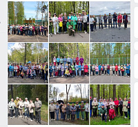 Неделя здорового долголетия: скандинавская ходьба и активный образ жизни