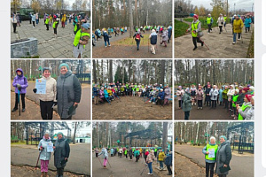 Межмуниципальное спортивное мероприятие «Вместе весело шагать»: успех и перспективы развития в рамках национального проекта «Семья» и федерального проекта «Старшее поколение» Межмуниципальное спортивное мероприятие «Вместе весело шагать»: успех и перспективы развития в рамках национального проекта «Семья» и федерального проекта «Старшее поколение»