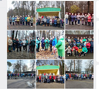 Обзор занятий по северной ходьбе в Ивановской области с 26 октября по 1 ноября 2025 года