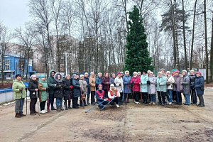 В парках города Иваново им.В.Я.Степанова и "Харинка" по субботам волонтёры-студенты ИвМГУ проводят занятия с ветеранами по северной ходьбе В парках города Иваново им.В.Я.Степанова и "Харинка" по субботам волонтёры-студенты ИвМГУ проводят занятия с ветеранами по северной ходьбе